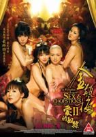 金瓶梅2之爱的奴隶第1集-全集高清在线免费观看