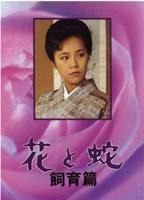 《花与蛇1》电影免费在线观看高清完整版